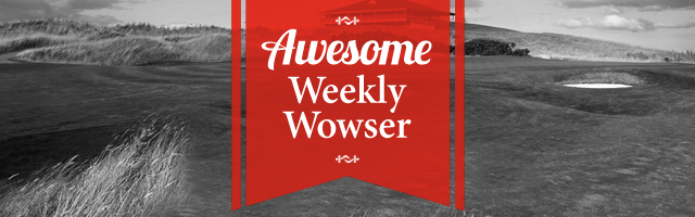 Awesome Weekly Wowser banner